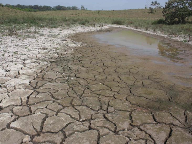 Sequía severa afecta a zona rural de Las Choapas
