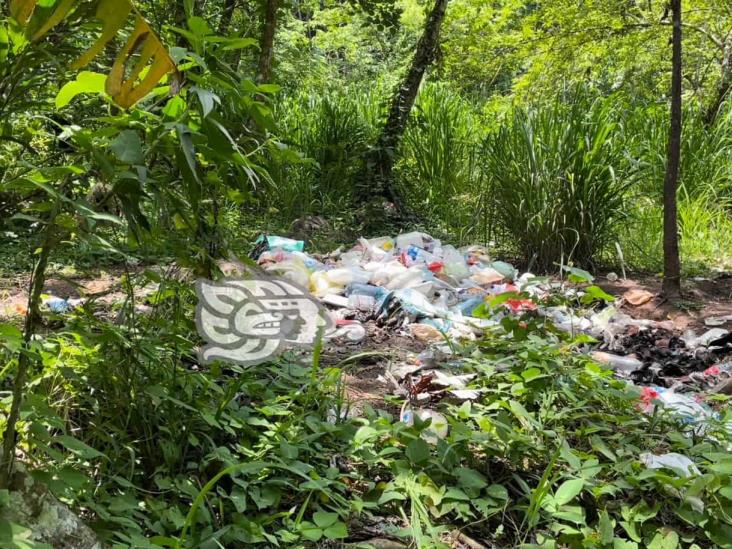 ¡Qué cochinero! Turistas olvidan su basura en cascadas de Soteapan