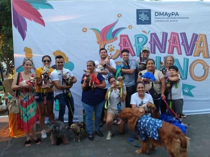 Carnaval Canino 2023 recaudan más de 2 toneladas de croquetas