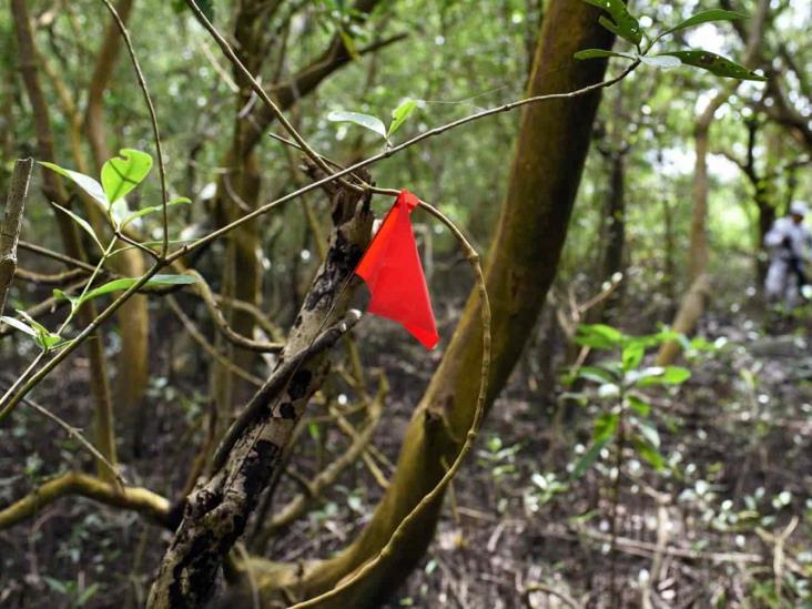 Madres buscadoras exhuman 17 cuerpos de fosa clandestina en Alvarado