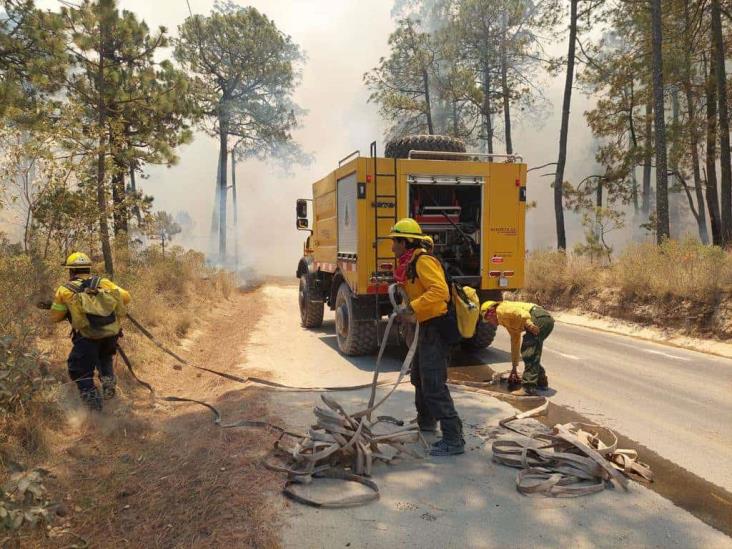 Fuego en Perote consume 200 hectáreas, hay 11 incendios forestales activos