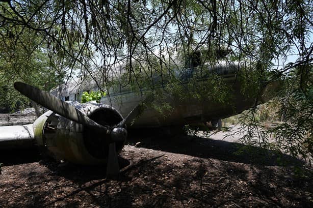 Avión de narcos abandonado en Veracruz se convierte en atractivo turístico (+video)