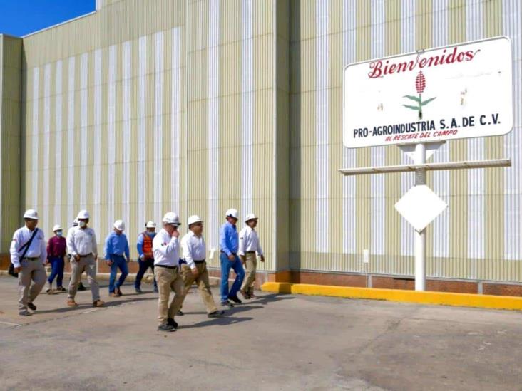 Pro Agro y Fertinal producen el 43% de fertilizantes de Pemex