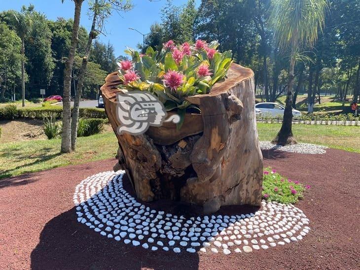 ¡La ciudad de las flores; Dan mantenimiento a glorietas, jardineras, parques y camellones, en Xalapa