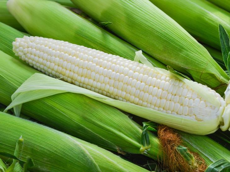 Imponen impuesto del 50% a importaciones de maíz blanco