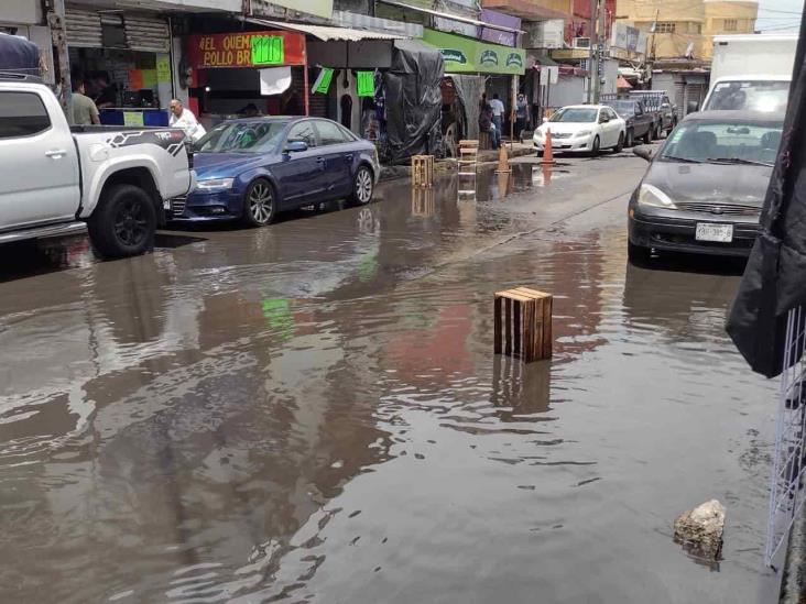 Pestilencia y  encharcamientos en zona de mercados de Veracruz tras lluvia