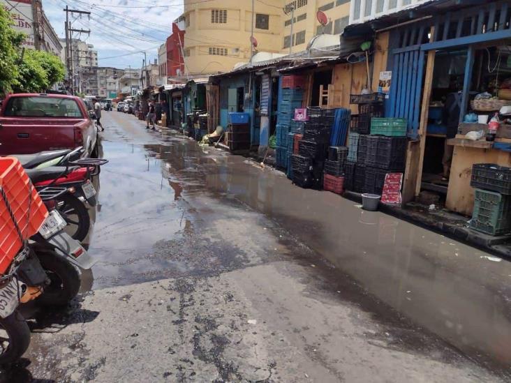 Pestilencia y  encharcamientos en zona de mercados de Veracruz tras lluvia