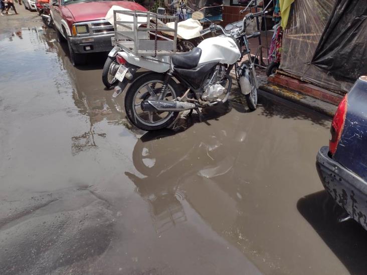 Pestilencia y  encharcamientos en zona de mercados de Veracruz tras lluvia