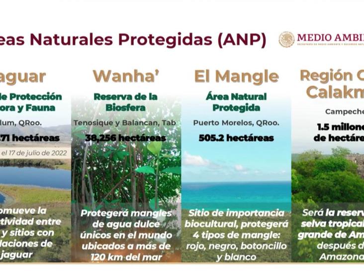 Semarnat ha declarado cuatro áreas naturales en ruta del Tren Maya