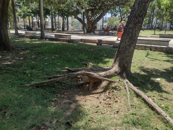 Quitan quiosco del Parque Zamora de Veracruz; avanza remodelación