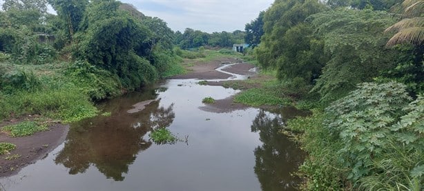 El río Jamapa se está secando; exhorta Grupo MAS a cuidar el agua