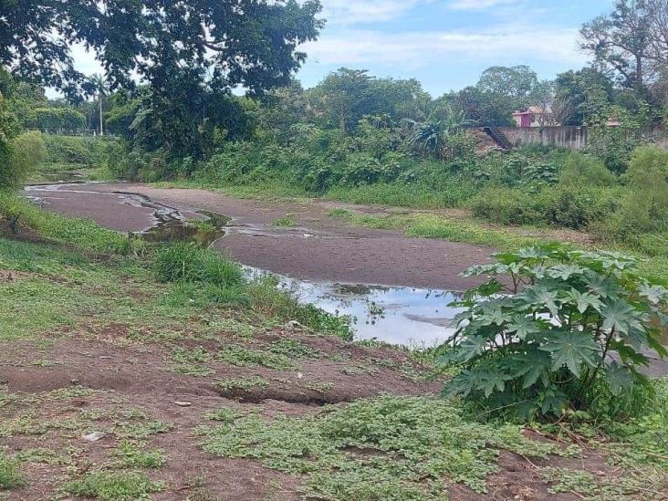 El río Jamapa se está secando; exhorta Grupo MAS a cuidar el agua