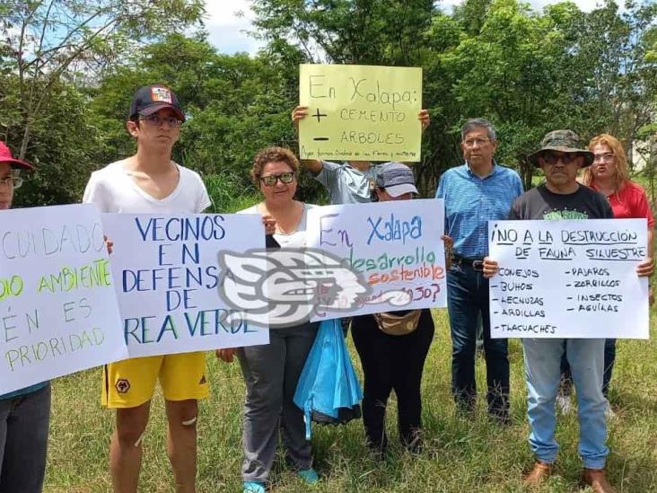 Nido del Halcón: Vecinos denuncian deforestación y daño ambiental