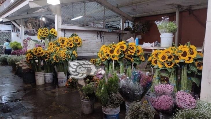 Introductores de flores del mercado Venustiano Carranza son movidos al Cerritos el primero de julio; en Orizaba