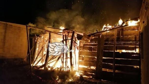 Incendios provocados arrasan con dos viviendas en colonia Higueras, en Xalapa
