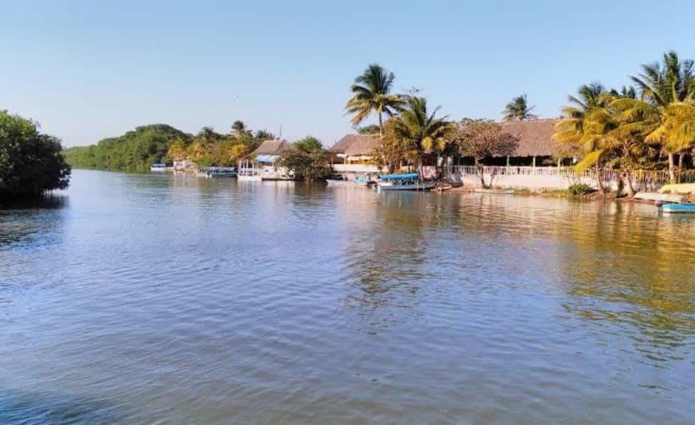 Cómo llegar a Mandinga desde Veracruz; esto cuesta un paseo entre manglares