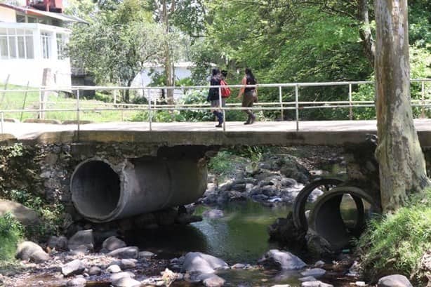 ¡A punto de caer! Urgen reparar puente entre Xalapa y Banderilla