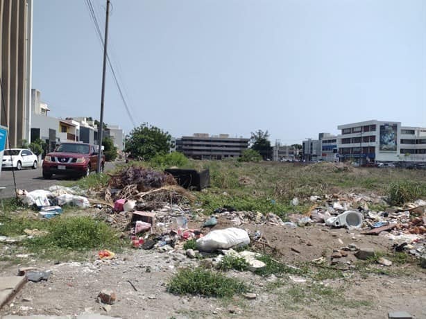 Ciudadanos convierten terreno abandonado en Veracruz en un basurero