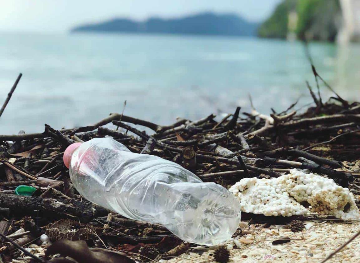 Plástico y degradación ambiental