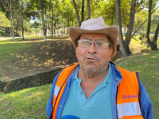 Xalapa florece bajo esfuerzo solitario de un jardinero que desafía negligencia de alcaldes