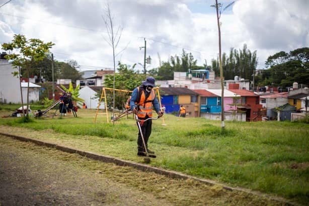 Realizan jornada comunitaria para rescatar áreas verdes de Xalapa