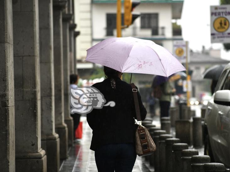 A cuántos grados estamos en la región Xalapa