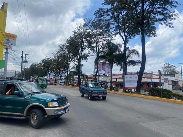 Preocupa a ambientalistas posible tala de árboles por paso elevado en Xalapa