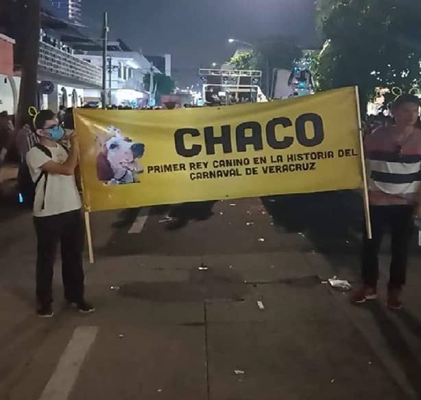 “Chaco”, primer rey canino que causó sensación en los desfiles del Carnaval de Veracruz 2023