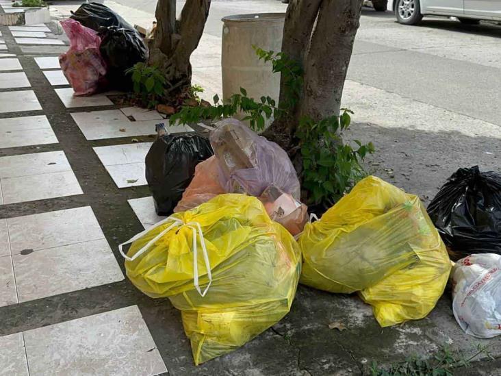 Discricar en aprietos en Poza Rica, tardará semanas en regularizar recolección de basura