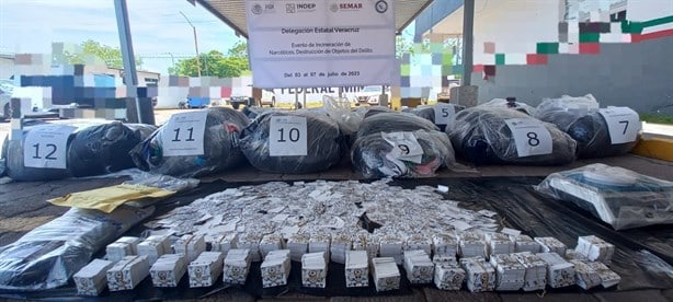 FGR y Marina incinera cerca de una tonelada de droga incautada en Veracruz