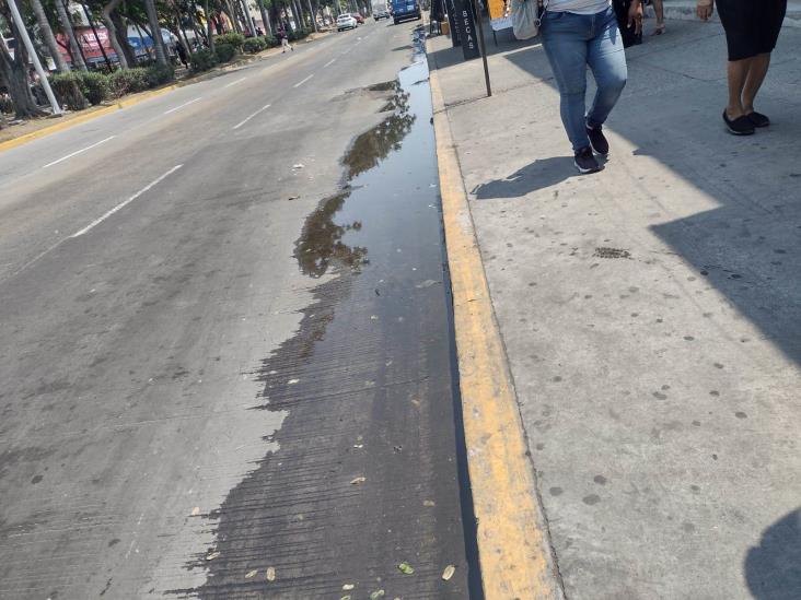 La mitad del agua que llega a Xalapa se desperdicia en fugas: COLVER