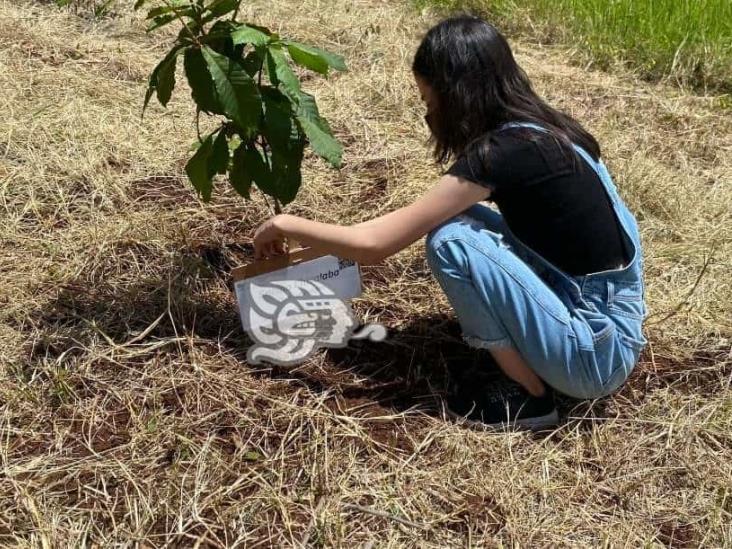 Falta de educación ambiental pone en riesgo biodiversidad en Coatepec