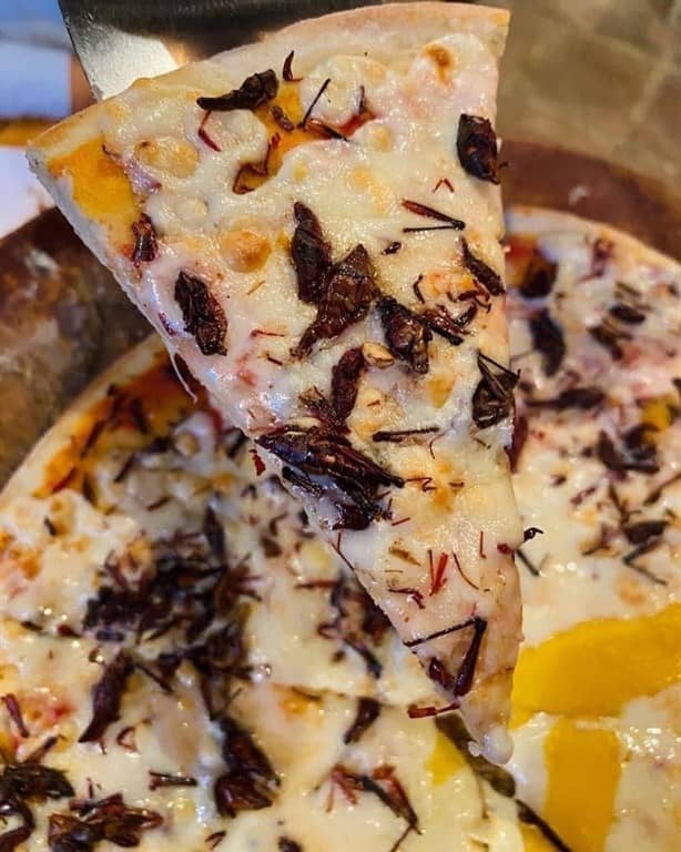 Buffet de pizza en Veracruz: prueba desde queso de cabra, bombón o la tradicional