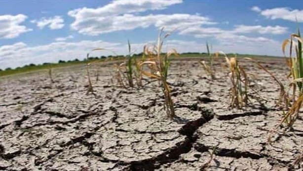 Sequía arrecia en Veracruz: 125 municipios afectados