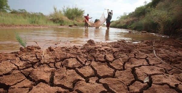 Sequía arrecia en Veracruz: 125 municipios afectados