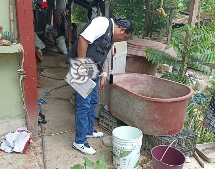 Temen por repunte de casos de dengue en la zona norte de Veracruz