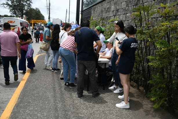 Se sembrarán cien mil árboles en Cofre de Perote, responde gobierno ante quejas de derribo