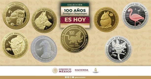 Lanzan moneda conmemorativa de ajolote por 100 años del Zoológico de Chapultepec