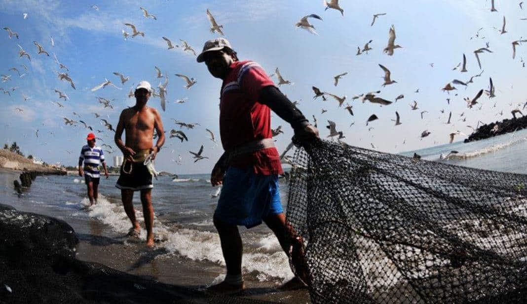 ¿Por qué con las lluvias hay más pesca? Esto dice los pescadores de Veracruz