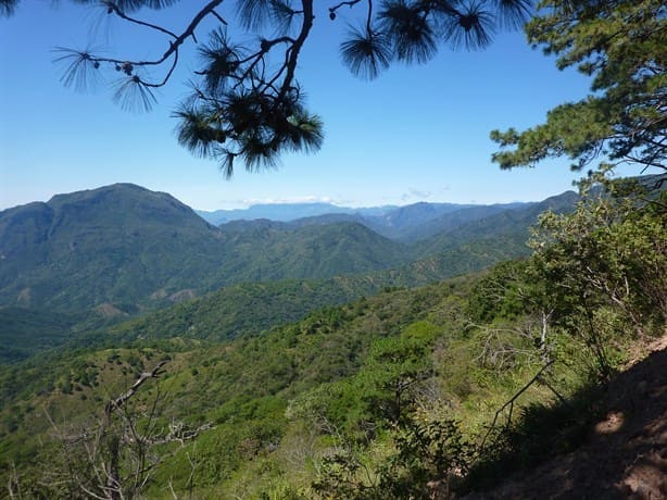 Veracruz en riesgo de perder territorio por resolutivo de SCJN; podría ser Uxpanapa