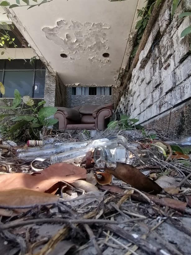 ¿Qué ha pasado con la casa de Salma Hayek en Coatzacoalcos?