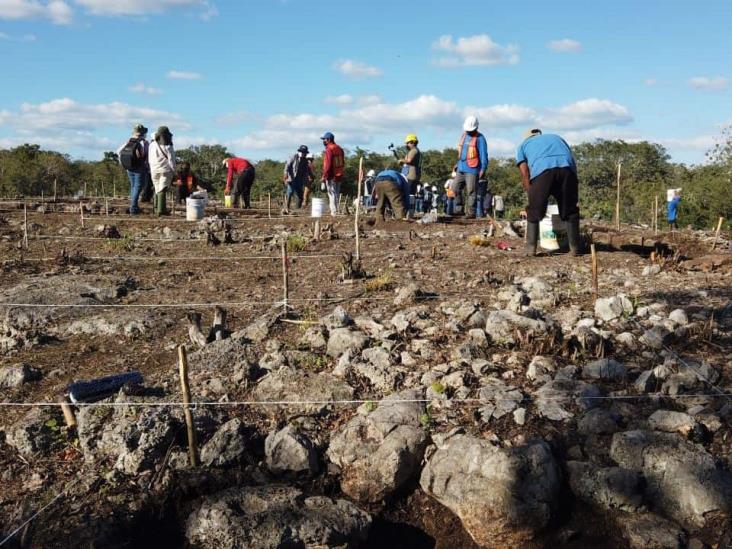 Tren Maya: continúa el salvamento arqueológico en tramos 5, 6 y 7