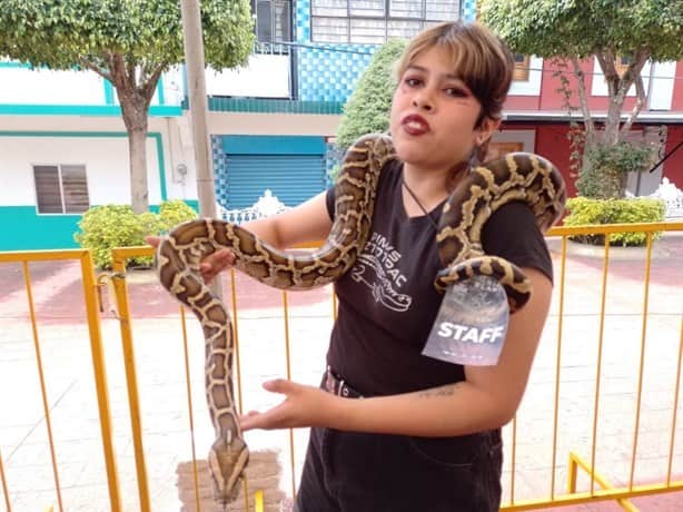 Arranca en Río Blanco Festival Mexicano de las Serpientes (+Video)