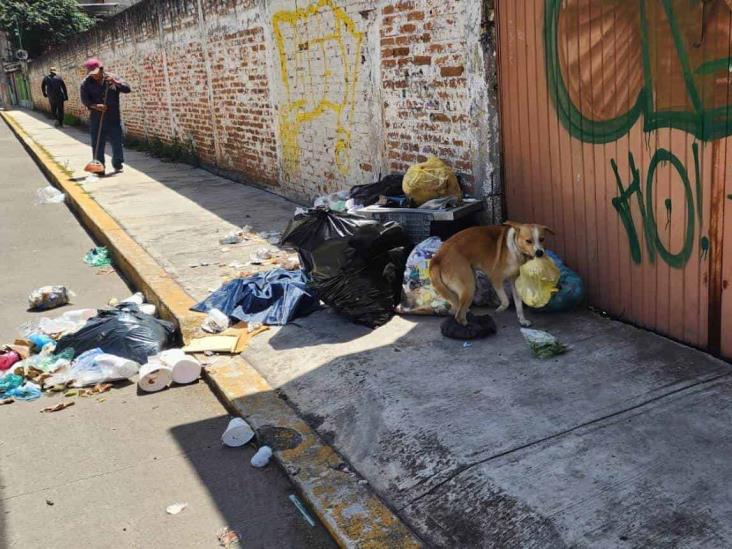 El olor de la negligencia y contaminación desatados en Río Blanco con basura