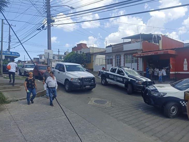 Asesinan a perritos y los tiran en bolsas negras, en Xalapa; detectan signos de violencia