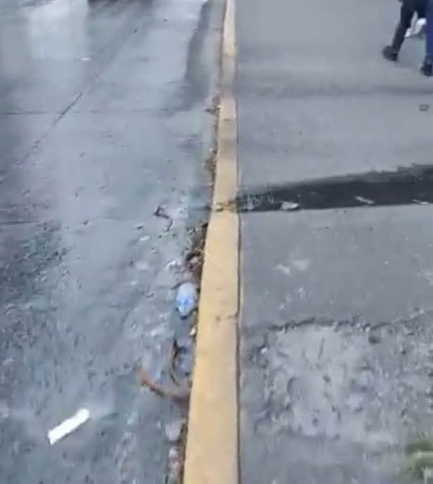 En Xalapa, acusan a conocido restaurante de comida rápida de tirar desechos en vía pública