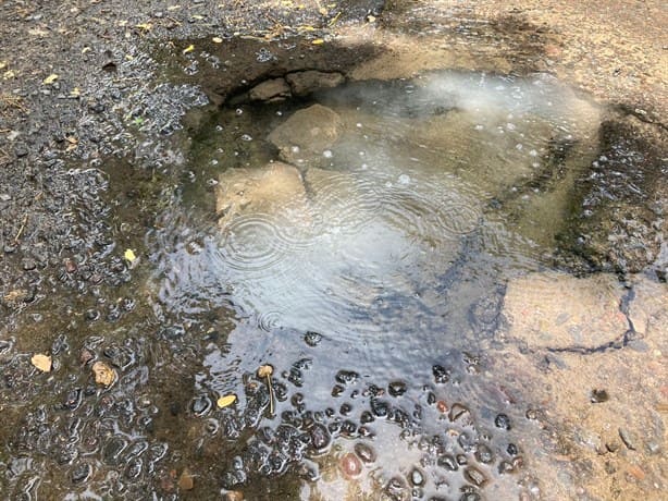 Alertan por megafuga de agua potable en Lomas del Coyol, en Veracruz