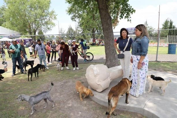 El municipio de Tecámac estrena la primer Clínica Móvil para Mascotas
