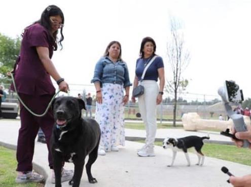 El municipio de Tecámac estrena la primer Clínica Móvil para Mascotas