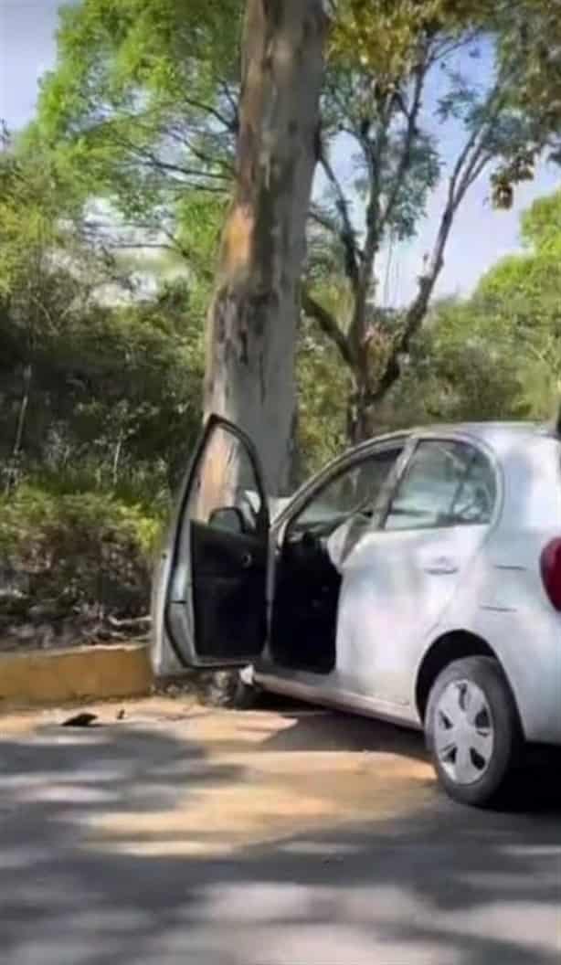 Chocan auto contra un árbol en la avenida Murillo Vidal, en Xalapa